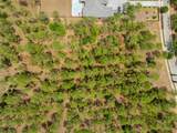 16250 Pendio Drive - Photo 9