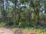 4819 123 Road - Photo 5