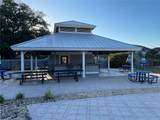 206 Orchid Drive - Photo 25