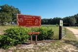 27018 Nature View Street - Photo 78