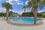 27018 Nature View Street - Photo 88