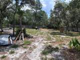 45506 Magnolia Street - Photo 30