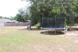 41 Dogwood Loop - Photo 16