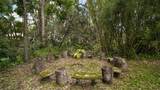 27113 Robertson Road - Photo 14