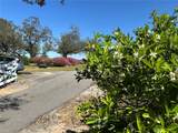 16318, 16250 & 16300 County Road 448 - Photo 75