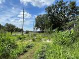 411 Alibrandi Road - Photo 10