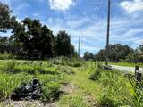 411 Alibrandi Road - Photo 11