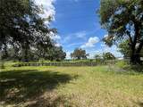 411 Alibrandi Road - Photo 13