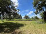 411 Alibrandi Road - Photo 14