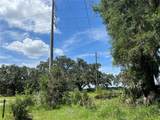 411 Alibrandi Road - Photo 18