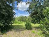 411 Alibrandi Road - Photo 22