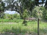 411 Alibrandi Road - Photo 32