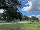 411 Alibrandi Road - Photo 41