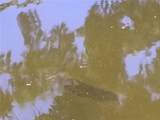 52 Outlet Drive - Photo 56