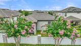 120 Citrus Isle Street - Photo 31