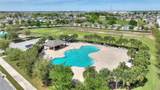 120 Citrus Isle Street - Photo 49
