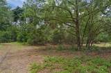 40742 Bridle Path Ln - Photo 41