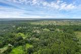 40742 Bridle Path Ln - Photo 49