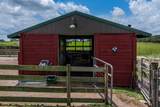 11511 Mattioda Road - Photo 42