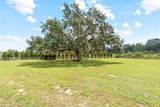 41534 Thomas Boat Landing Road - Photo 49