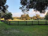 35126 William Lane - Photo 62