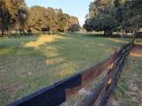 35126 William Lane - Photo 63