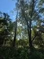  Coles Court - Photo 17