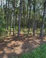  Cr 227 Road - Photo 2
