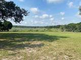  County Road 48 - Photo 2