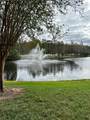 13584 Turtle Marsh Loop - Photo 11