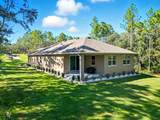 5361 Peppermint Drive - Photo 51