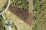 16842 Artimino Loop - Photo 6