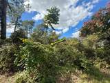 LOT 11 Royal Trails Road - Photo 11