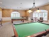 4846 Audrey Marie Court - Photo 53