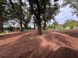 3427 Golden Gem Road - Photo 17