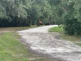 3427 Golden Gem Road - Photo 20