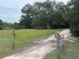 3427 Golden Gem Road - Photo 21
