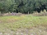 3427 Golden Gem Road - Photo 6