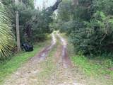 3427 Golden Gem Road - Photo 8
