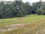 3427 Golden Gem Road - Photo 9
