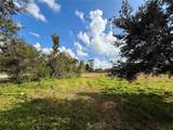 LOT 9 Fort Christmas Road - Photo 35