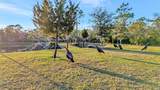 7330 Crabgrass Road - Photo 42