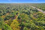 LOT 81 Meadow Lark Boulevard - Photo 16