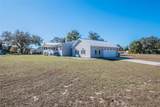 27925 Pelican Isle Drive - Photo 54