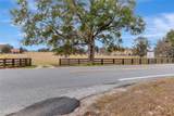 Wolf Branch Road - Photo 4