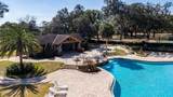33803 Terragona Drive - Photo 44
