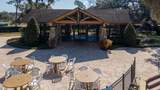 33803 Terragona Drive - Photo 45