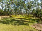 8822 Winter Garden Vineland Road - Photo 17