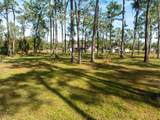 8822 Winter Garden Vineland Road - Photo 19