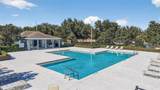 2451 Plumadore Drive - Photo 37